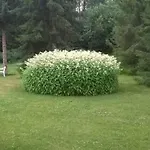 Mukava Mummonmoekki Maaseudun Rauhassa Вилла Koivu