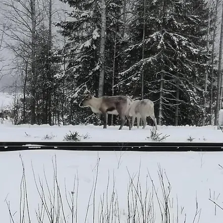 Mukava Mummonmoekki Maaseudun Rauhassa
