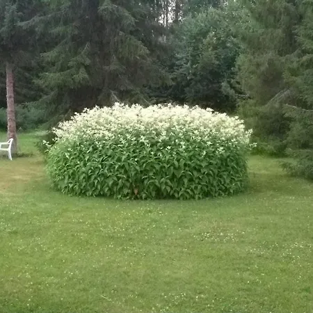 Mukava Mummonmoekki Maaseudun Rauhassa Villa Koivu