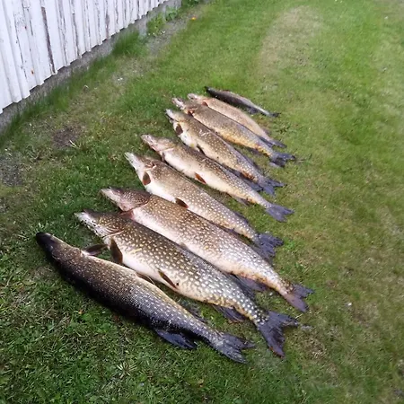 Villa Mukava Mummonmoekki Maaseudun Rauhassa Koivu