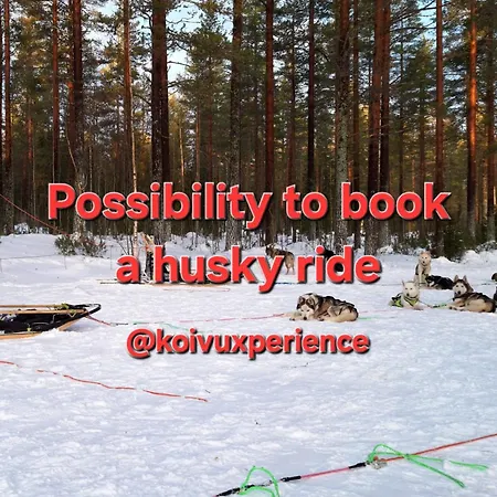 Mukava Mummonmoekki Maaseudun Rauhassa Koivu